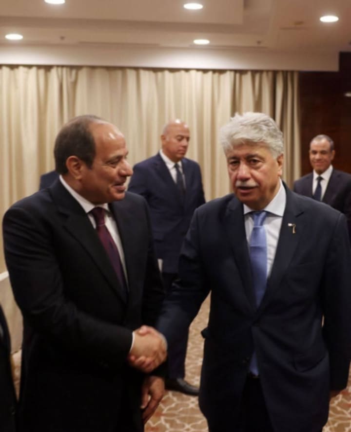 ثمن الدور المصري ، د. مجدلاني : يدين حملة الدعاية المغرضة ضد مصر