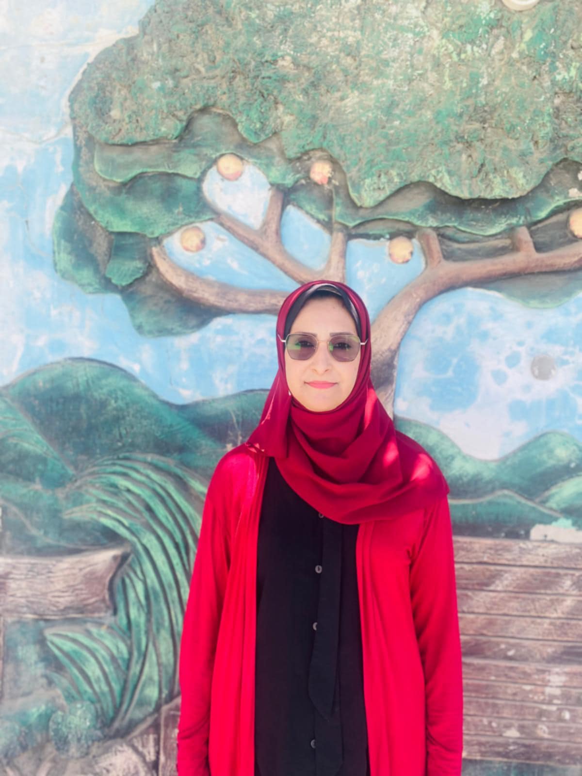 من عجلة التوكتوك وحصان العربة ،غزة تتحرك بصعوبة ، بقلم : منى سامي موسى
