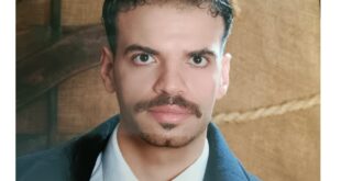 علاء عاشور