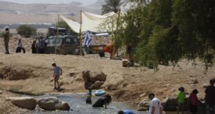 مستوطنون يقتحمون شلال العوجا شمال أريحا برفقة أغنامهم