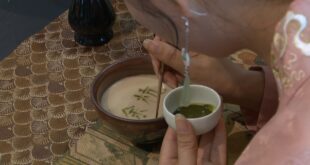 "ديان تشا" أسلوب تحضر الشاي الذي يرجع أصله إلى عهد أسرة سونغ الملكية في قرية جينغشان بمدينة هانغتشو