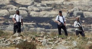 مستعمرون يسرقون خيمة ومعدات زراعية من الأغوار الشمالية