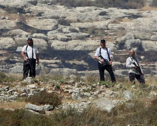 مستعمرون يسرقون خيمة ومعدات زراعية من الأغوار الشمالية