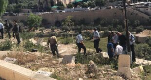 مستوطنون يقتحمون مقبرة باب الرحمة قرب المسجد الأقصى