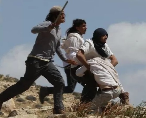 مستعمرون يعتدون على مواطنة ونجلها في المنيا شرق بيت لحم
