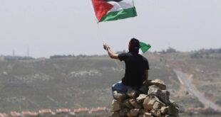 الإحصاء في اليوم العالمي للشباب : انخفاض غير مسبوق في عدد السكان والشباب بقطاع غزة