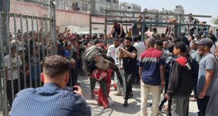 682 يوماً من حرب الإبادة على قطاع غزة