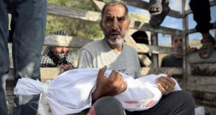 687 يوماً من حرب الإبادة على قطاع غزة