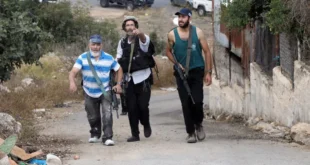 مستوطنون يعتدون على مزارع ويسرقون أغنامه من كفر مالك