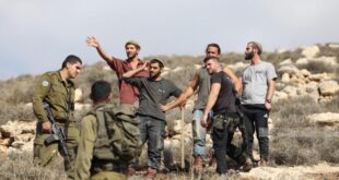 مستوطنون يحرثون عشرات الدونمات من أراضي المواطنين في الأغوار الشمالية