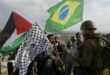 البرازيل فلسطين