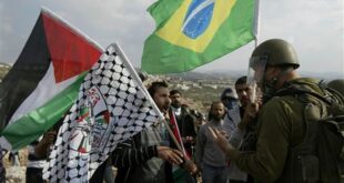البرازيل فلسطين