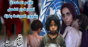الأمم المتحدة تصدر قرار الفصل بشيوع المجاعة بغزة ، بقلم : آمنة الدبش