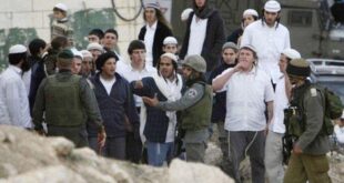 مستوطنون يهاجمون المواطنين في مجدل بني فاضل جنوب نابلس