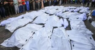 724 يوماً من حرب الإبادة على قطاع غزة