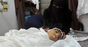 700 يوماً من حرب الإبادة على قطاع غزة