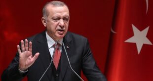 رجب طيب أردوغان يشيد بجهود ترامب لوقف إراقة الدماء في غزة
