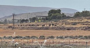 مستوطنون يستولون على آلاف الدونمات في منطقة عساف بالأغوار الشمالية
