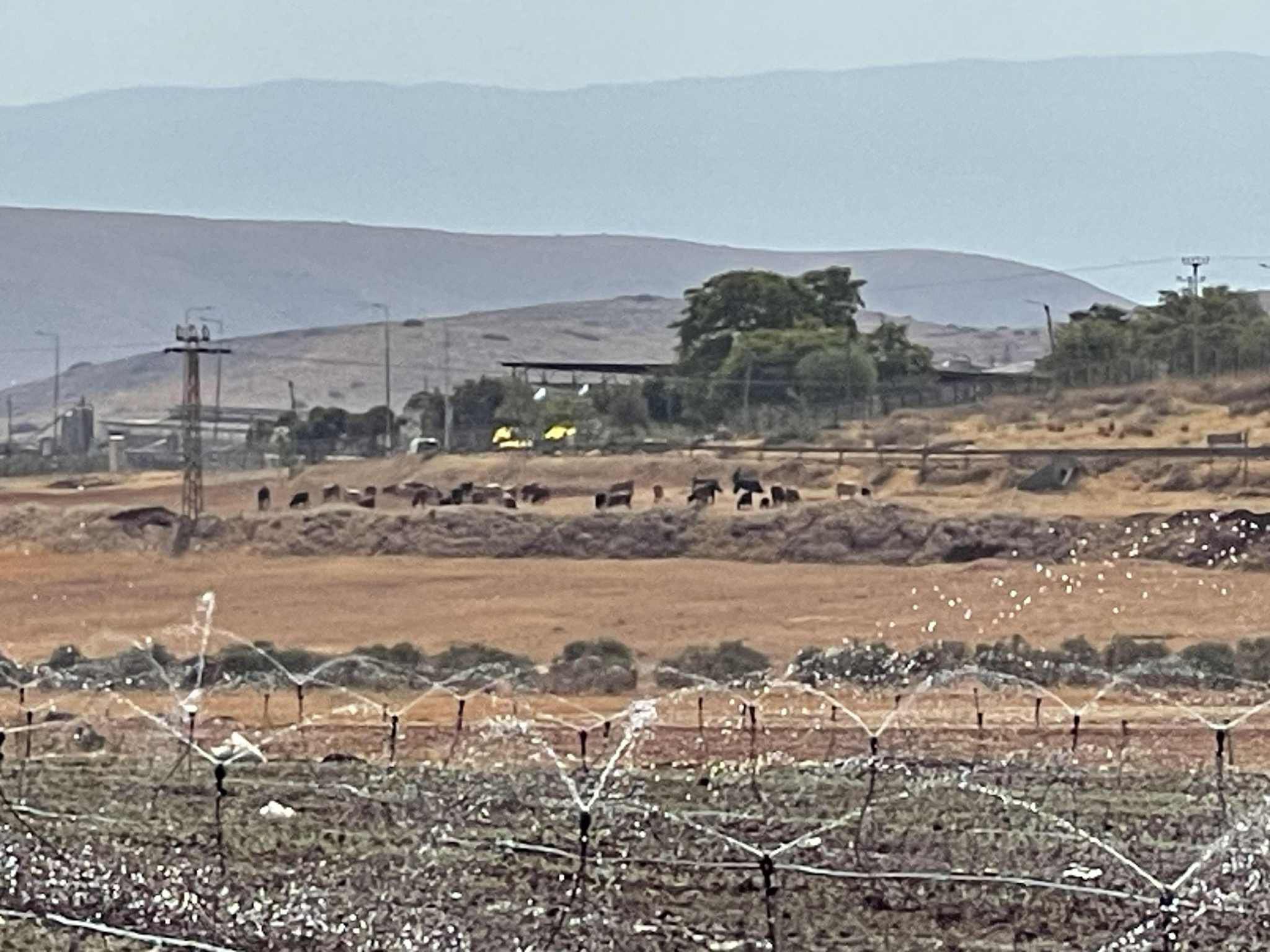مستوطنون يستولون على آلاف الدونمات في منطقة عساف بالأغوار الشمالية