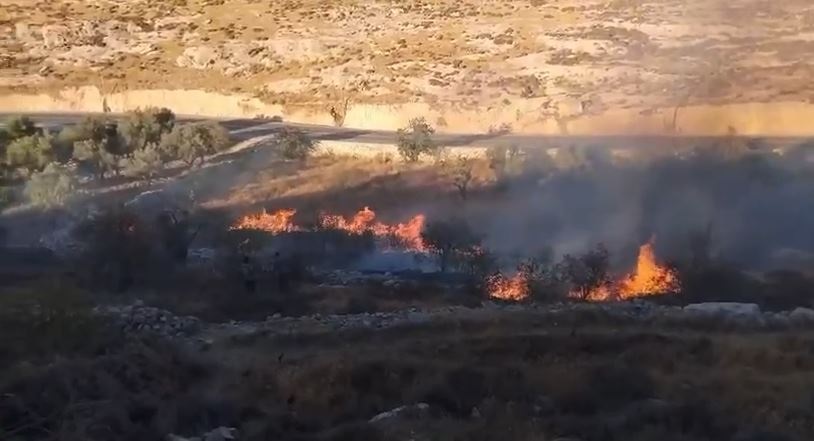 مستوطنون يحرقون أراضي زراعية في بلدة سعير شمال شرق الخليل