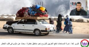 تقرير شفا : ندرة المساحات تدفع الغزيين للنزوح نحو مناطق خطرة ، بحث عن مأوى في قلب الخطر