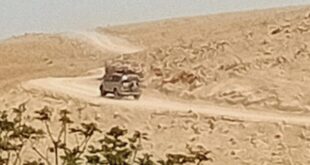 جولات استفزازية للمستوطنين في مسافر يطا والمناطق البدوية