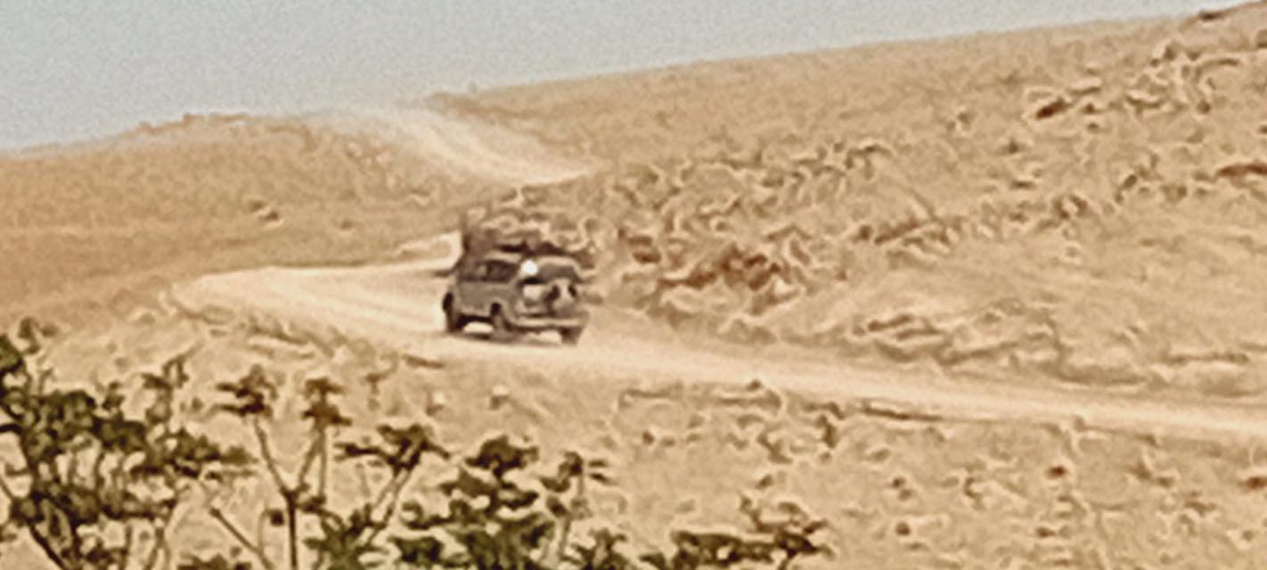 جولات استفزازية للمستوطنين في مسافر يطا والمناطق البدوية