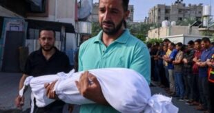 703 يوماً من حرب الإبادة على قطاع غزة
