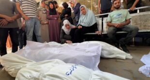 717 يوماً من حرب الإبادة على قطاع غزة