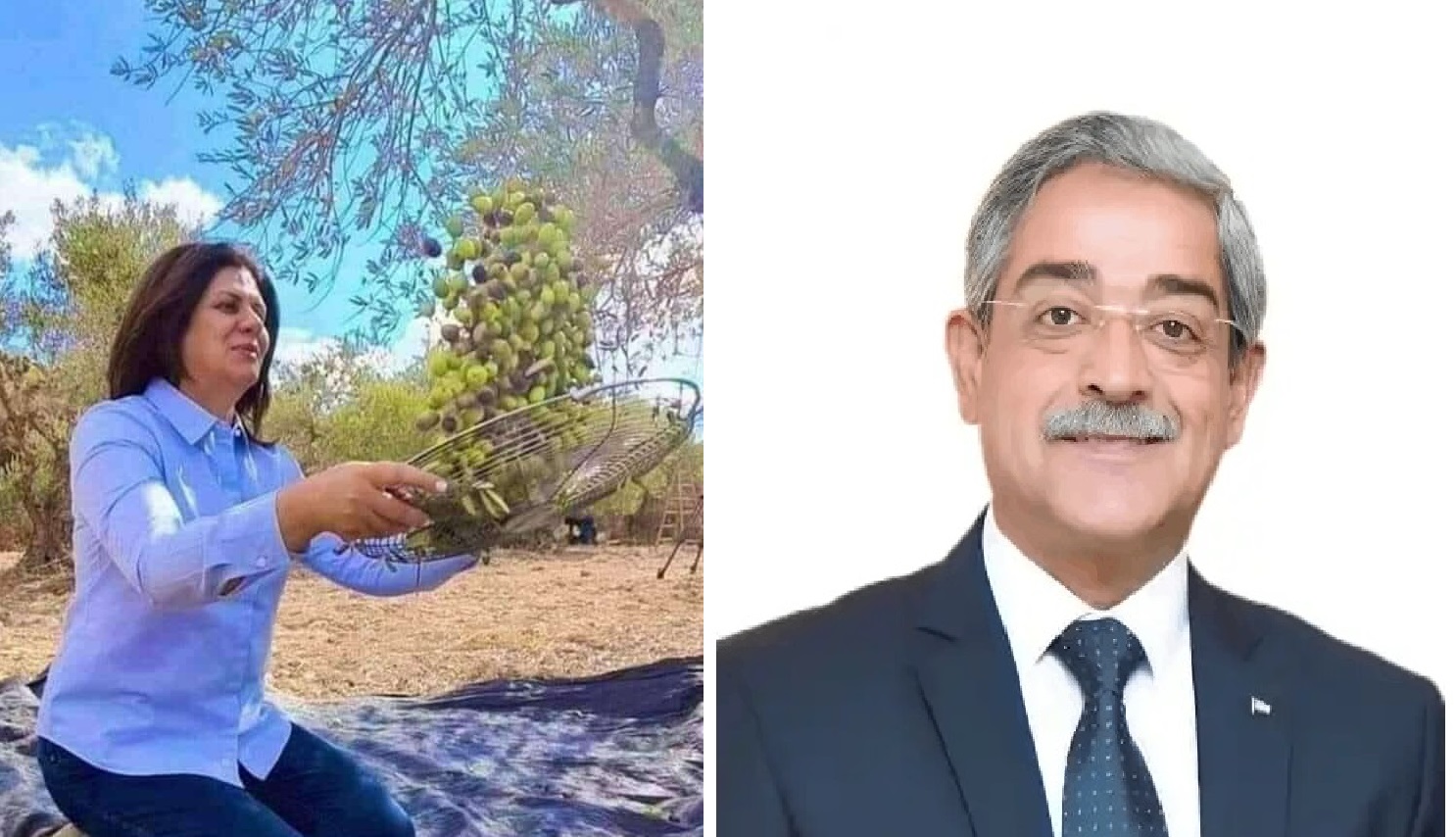 شيرين أبو عاقلة.. زيتونة فلسطين التي لا تموت ، بقلم : معروف الرفاعي
