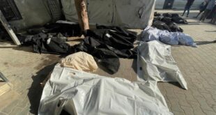 728 يوماً من حرب الإبادة على قطاع غزة