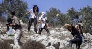 مستوطنون يهاجمون قاطفي ثمار الزيتون غرب سلفيت