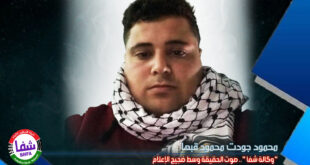 محمود جودت محمود قبها يكتب .. ” شبكة فلسطين للأنباء شفا ” صوت الحقيقة وسط ضجيج الإعلام