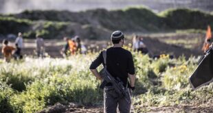 مستوطنون يهاجمون قاطفي الزيتون في قرية روجيب شرق نابلس