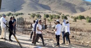 مستوطنون يعتدون على نشطاء سلام في قرية شلال العوجا