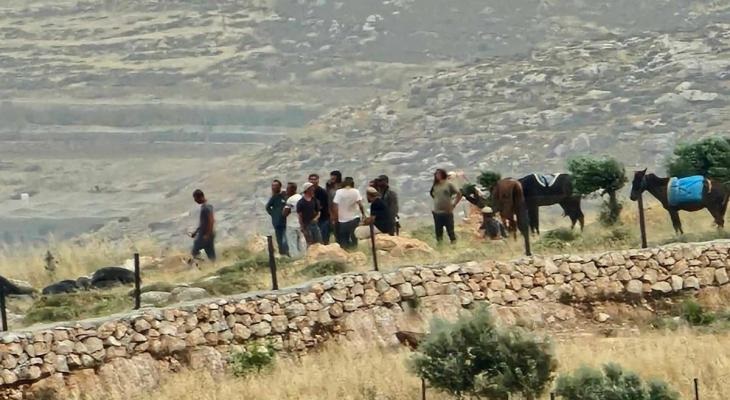 مستوطنون يهاجمون قاطفي الزيتون شرق نابلس