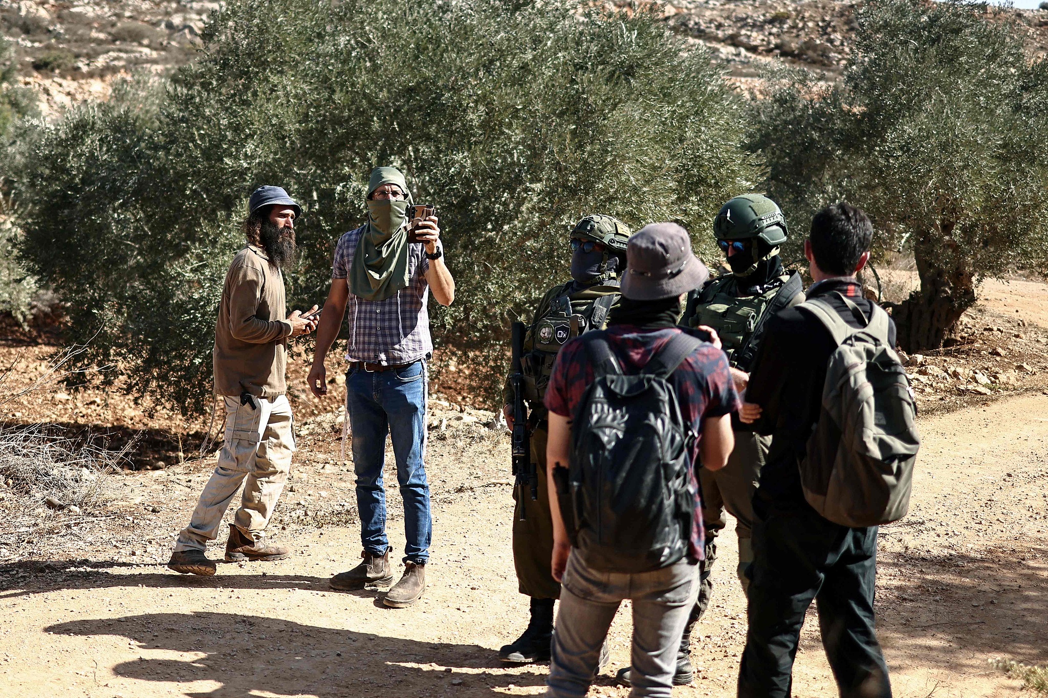 مستوطنون يقطعون المئات من أشجار الزيتون في قريوت جنوب نابلس