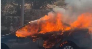 مستوطنون يهاجمون بلدة دير دبروان شرق رام الله ويحرقون مركبتين ويعتدون على مسجد