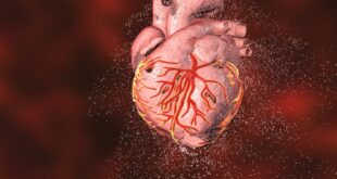 باحثون يكشفون عن "الحلقة المفقودة" في شفاء القلب بعد النوبة القلبية