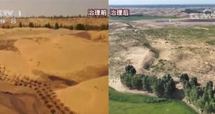 الصين تستعيد 88 نهرا وبحيرة رئيسية في حملة الاستعادة الإيكولوجية