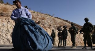 الاحتلال يعتدي على قاطفي الزيتون في نحالين غرب بيت لحم
