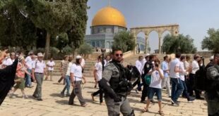 6256 مستوطنا اقتحموا المسجد الأقصى منذ بداية "عيد العرش" اليهودي
