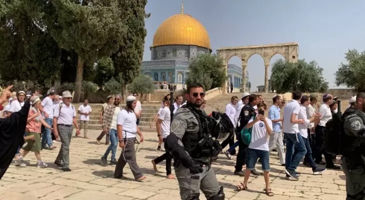 6256 مستوطنا اقتحموا المسجد الأقصى منذ بداية "عيد العرش" اليهودي