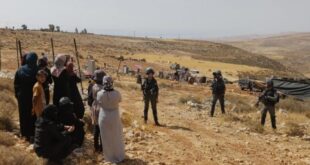 مستوطنون يهاجمون تجمع خلة السدرة البدوي شمال شرق القدس