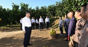 الرئيس شي يحث على تعميق الإصلاح والانفتاح على نحو شامل خلال جولته التفقدية في مقاطعة قوانغدونغ