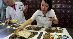 انعقاد منتدى في فيتنام يدعو إلى تعزيز عولمة الطب الصيني التقليدي