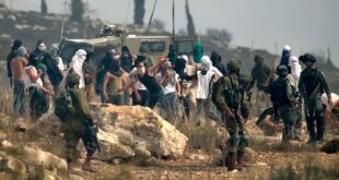 مستوطنون يعتدون على الأهالي في خربة مسعود جنوب جنين