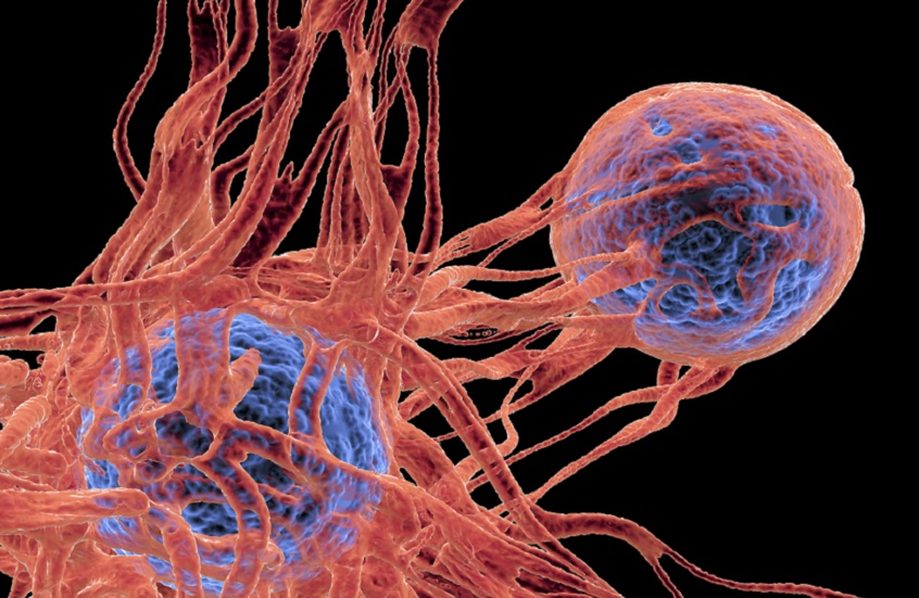 فيروس شائع يتسلل إلى الحمض النووي ويحفز السرطان مباشرة