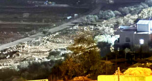 مستوطنون يسرقون معدات زراعية من قرية المغير في رام الله