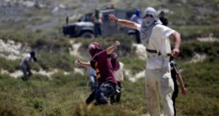 مستوطنون يهاجمون رعاة الأغنام في مخماس شمال القدس المحتلة